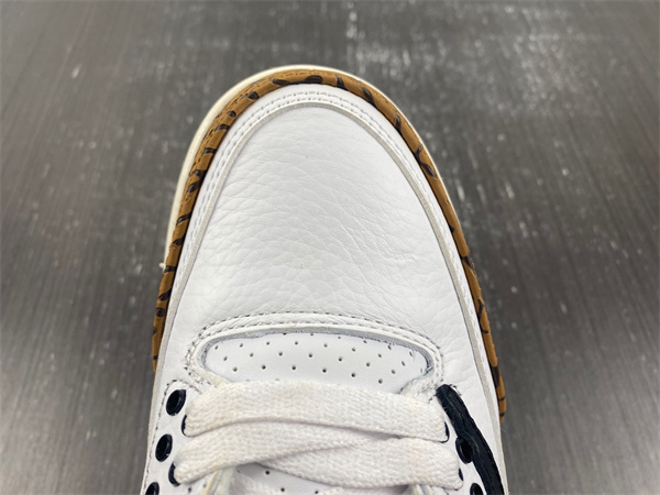 Travis Scott x Air Jordan 3 “Palomino”