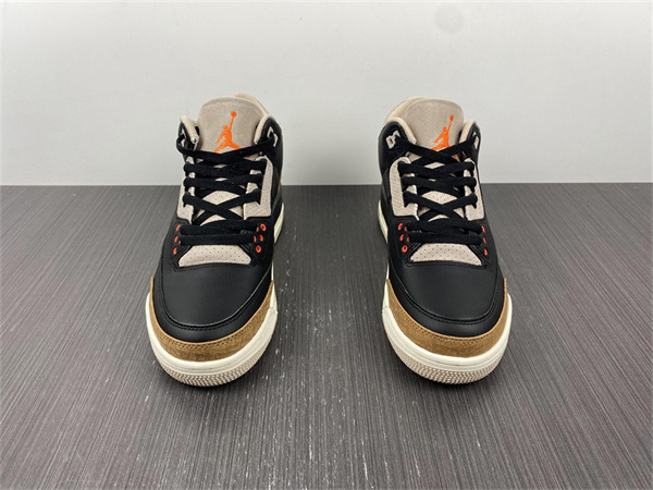 Jordan 3 Retro Desert Elephant CT8532-008