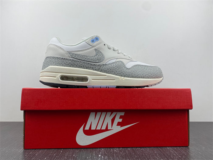 Nike Air Max 1