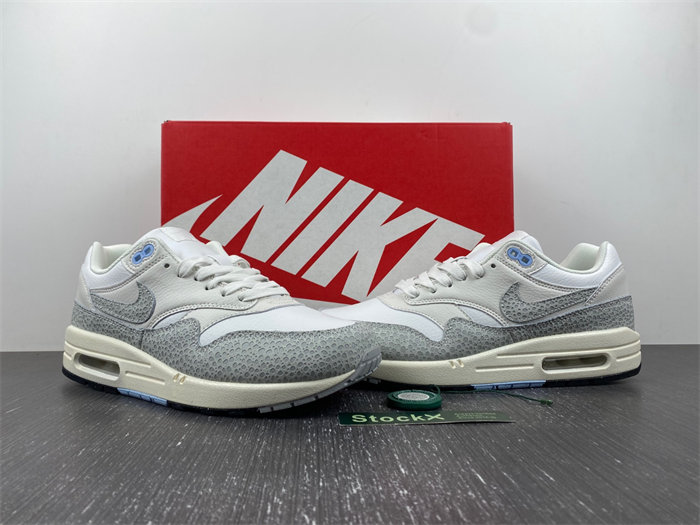 Nike Air Max 1