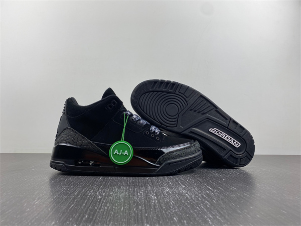 Air Jordan 3 Black cat