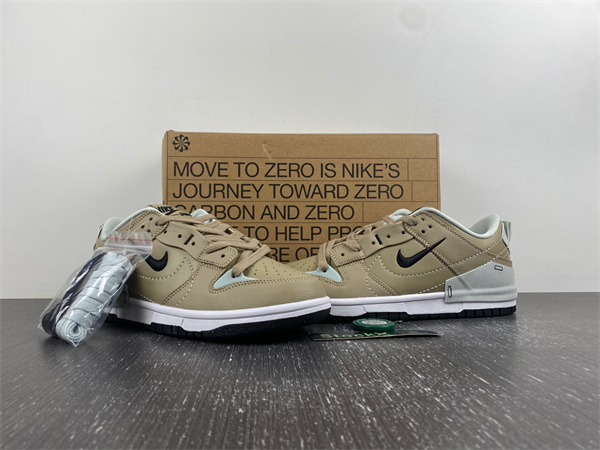 Nike Dunk Disrupt