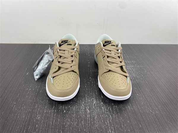 Nike Dunk Disrupt