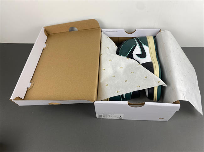 AIR JORDAN 1 MID SE "LEGEND PINK" GS SHOES FQ7818-100