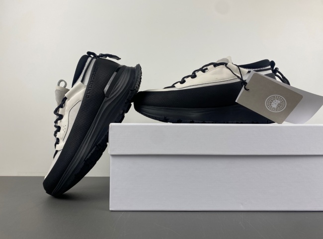 (Can*a Go*e）glacier trai. 7785m