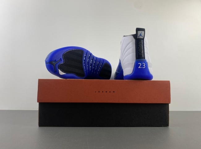 Air Jordan 12 “Blueberry” CT8013-140