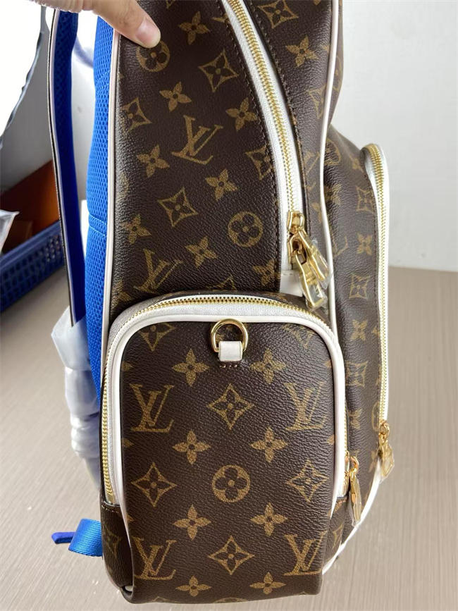 LV BAG