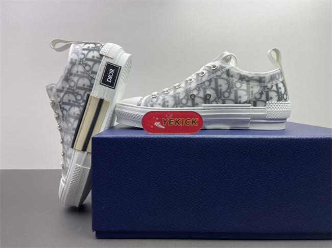 DR B23 OBLIQUE LOW TOP SNEAKER