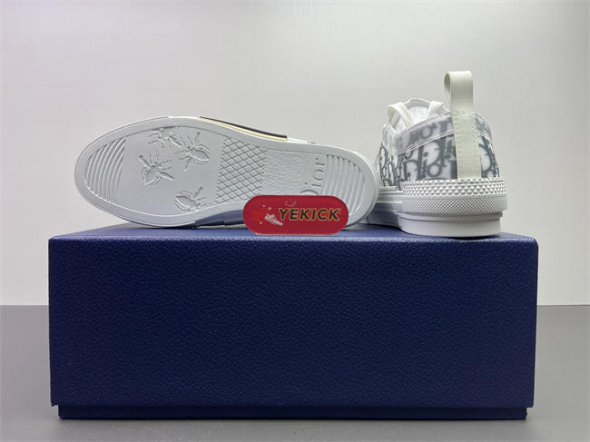 DR B23 OBLIQUE LOW TOP SNEAKER